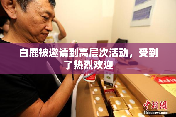 白鹿被邀请到高层次活动，受到了热烈欢迎