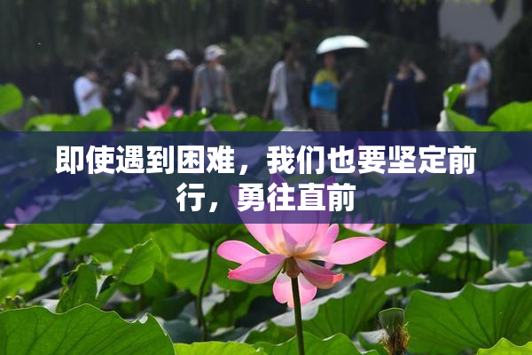 即使遇到困难，我们也要坚定前行，勇往直前