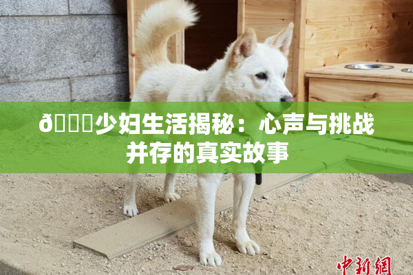 🔞少妇生活揭秘：心声与挑战并存的真实故事
