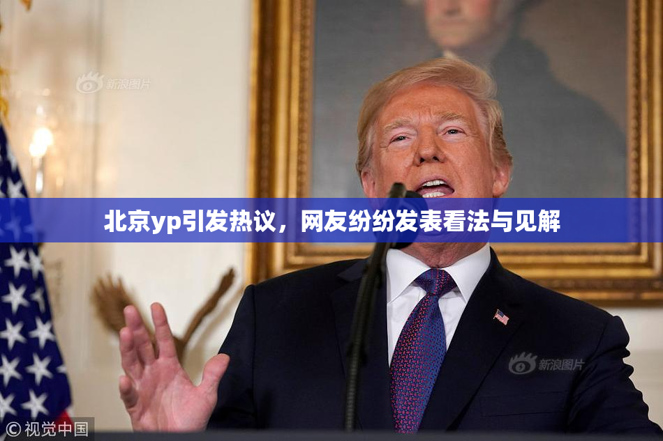 北京yp引发热议，网友纷纷发表看法与见解