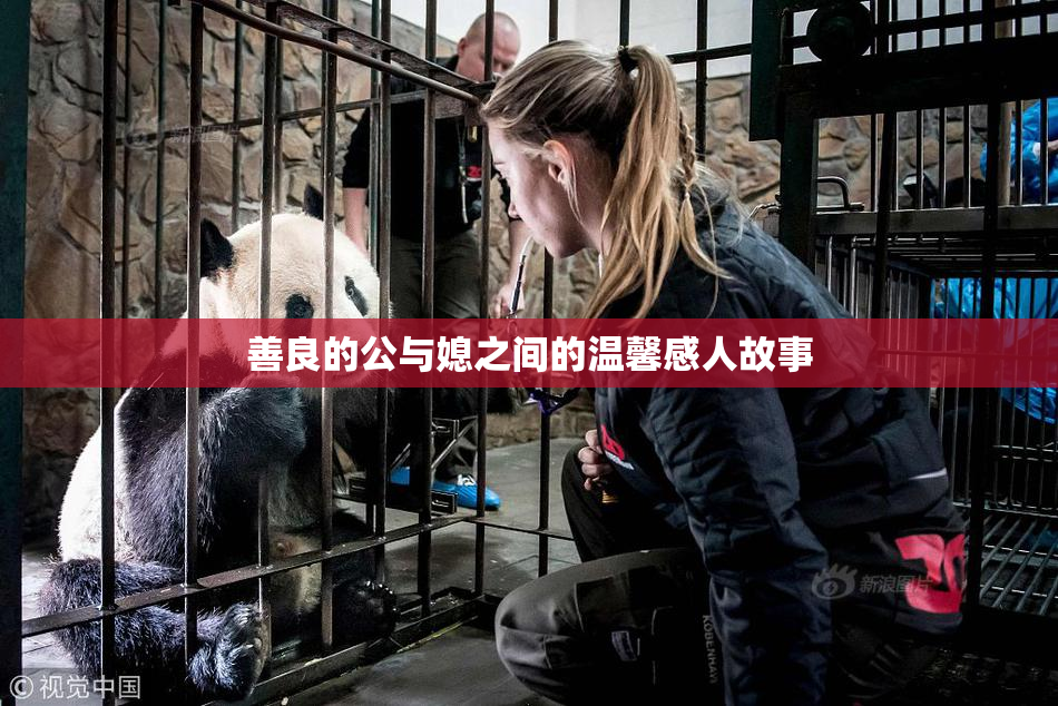 善良的公与媳之间的温馨感人故事