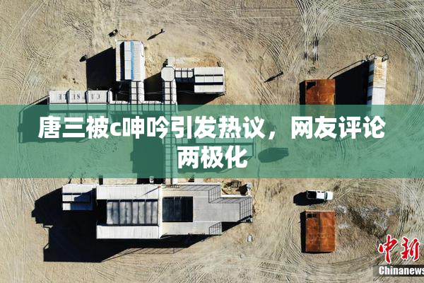 唐三被c呻吟引发热议，网友评论两极化