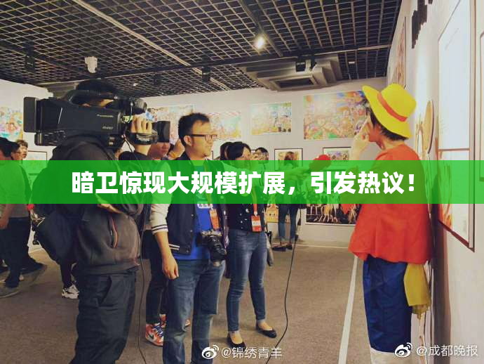 暗卫惊现大规模扩展，引发热议！