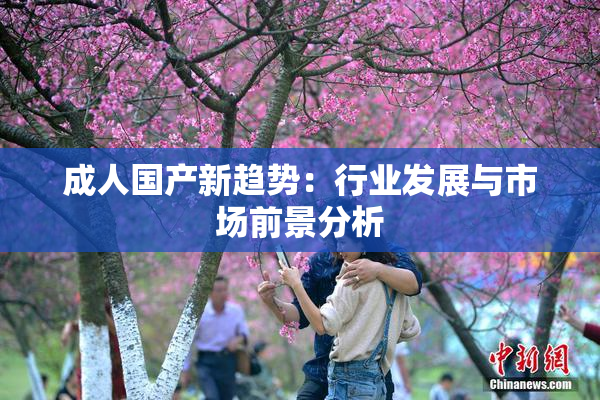 成人国产新趋势：行业发展与市场前景分析