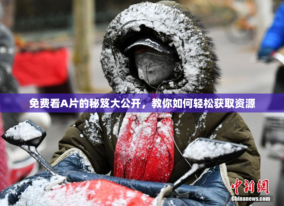 免费看A片的秘笈大公开，教你如何轻松获取资源