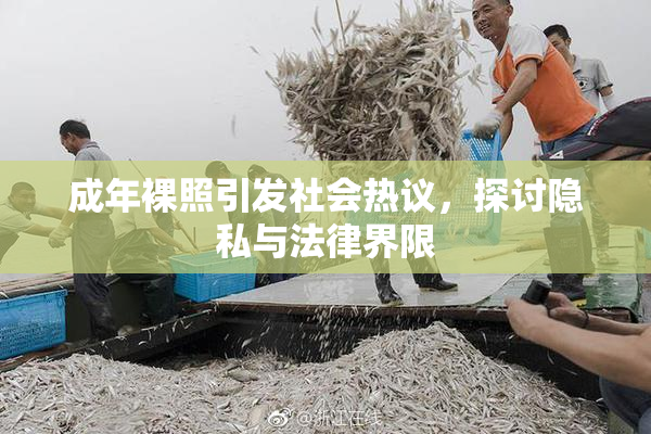 成年裸照引发社会热议，探讨隐私与法律界限