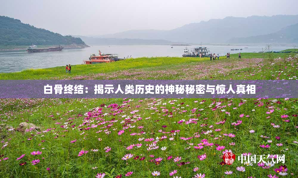 白骨终结：揭示人类历史的神秘秘密与惊人真相