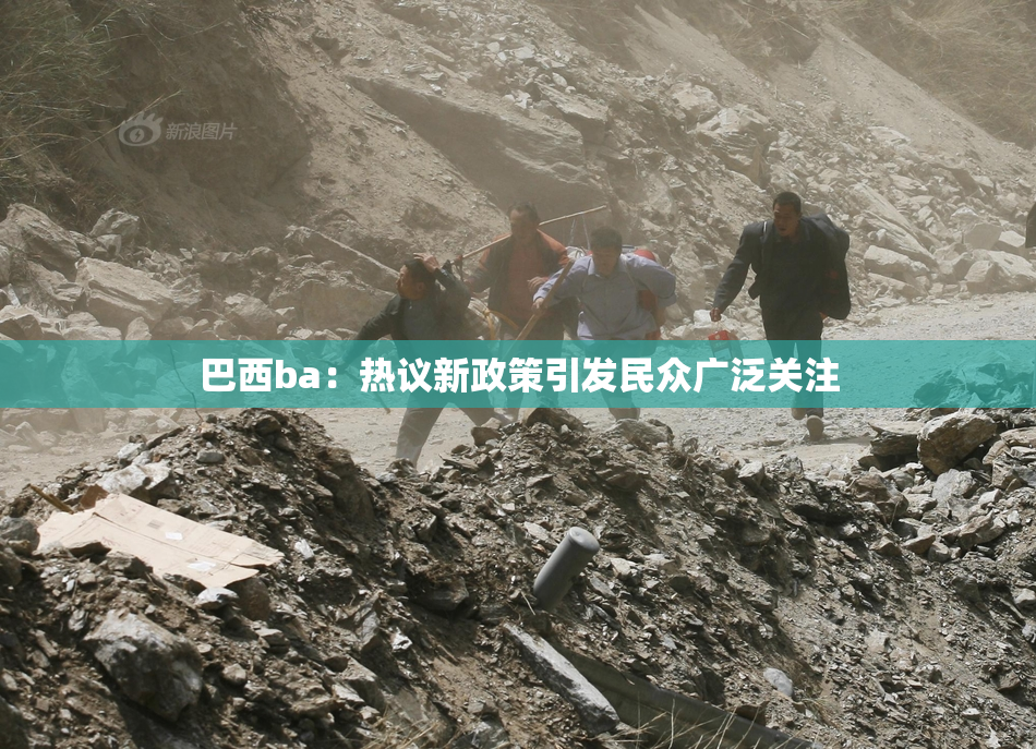 巴西ba：热议新政策引发民众广泛关注