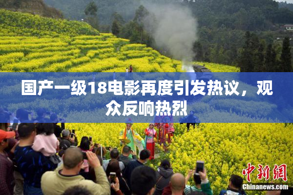 国产一级18电影再度引发热议，观众反响热烈