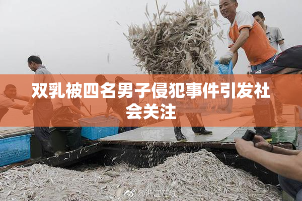 双乳被四名男子侵犯事件引发社会关注