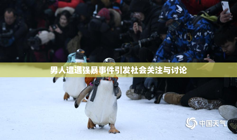 男人遭遇强暴事件引发社会关注与讨论