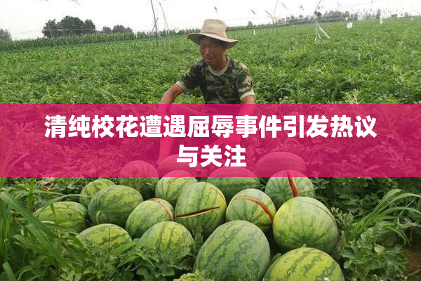 清纯校花遭遇屈辱事件引发热议与关注