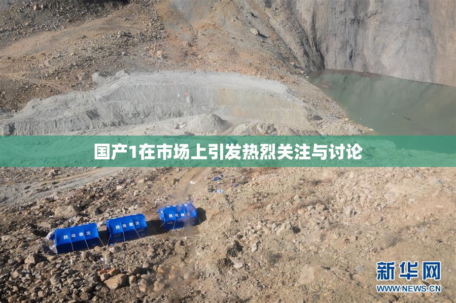 国产1在市场上引发热烈关注与讨论