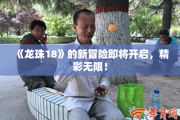《龙珠18》的新冒险即将开启，精彩无限！