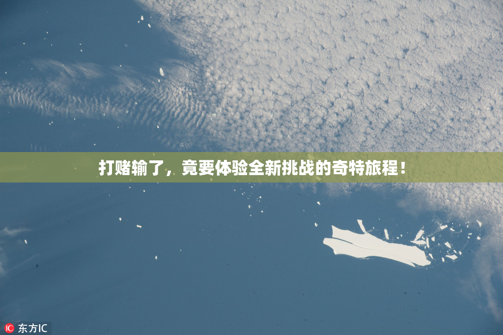 打赌输了，竟要体验全新挑战的奇特旅程！