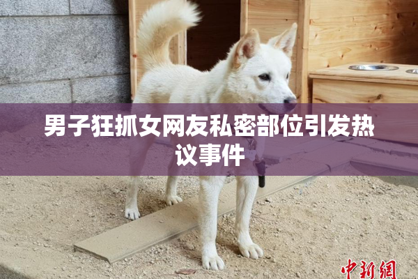男子狂抓女网友私密部位引发热议事件