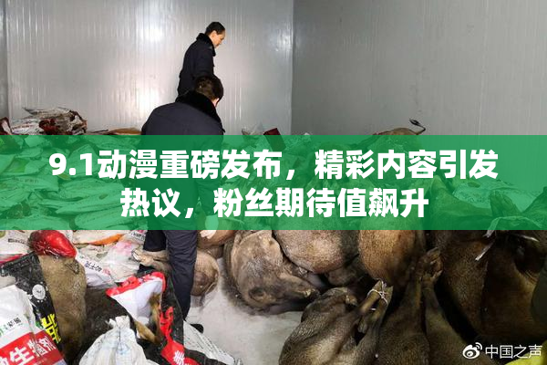 9.1动漫重磅发布，精彩内容引发热议，粉丝期待值飙升