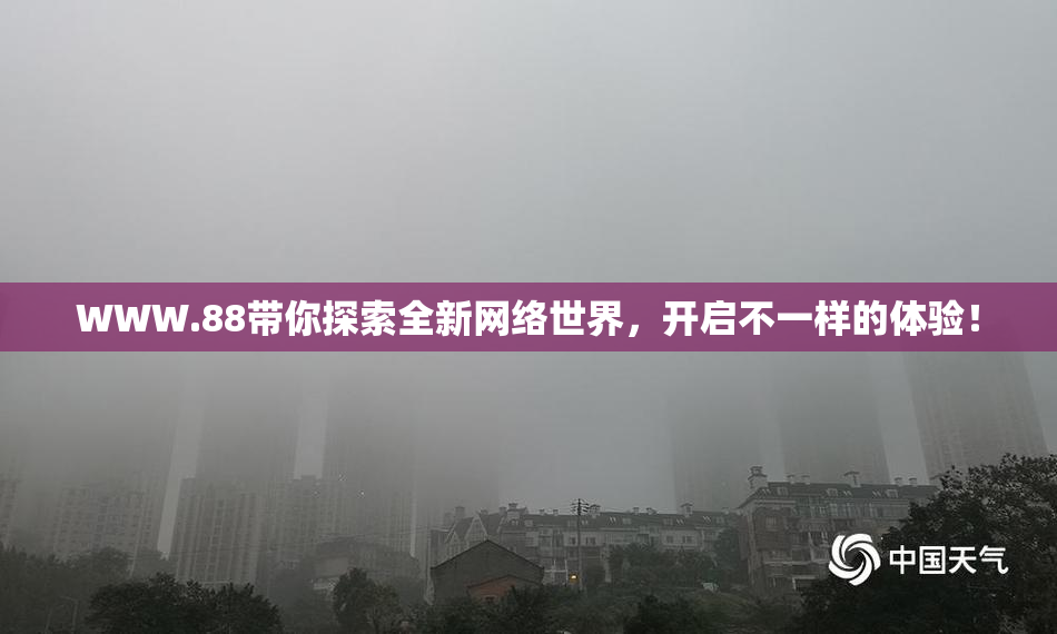 WWW.88带你探索全新网络世界，开启不一样的体验！