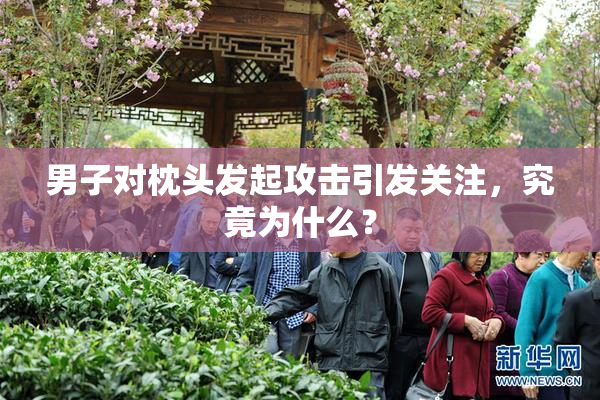 男子对枕头发起攻击引发关注，究竟为什么？