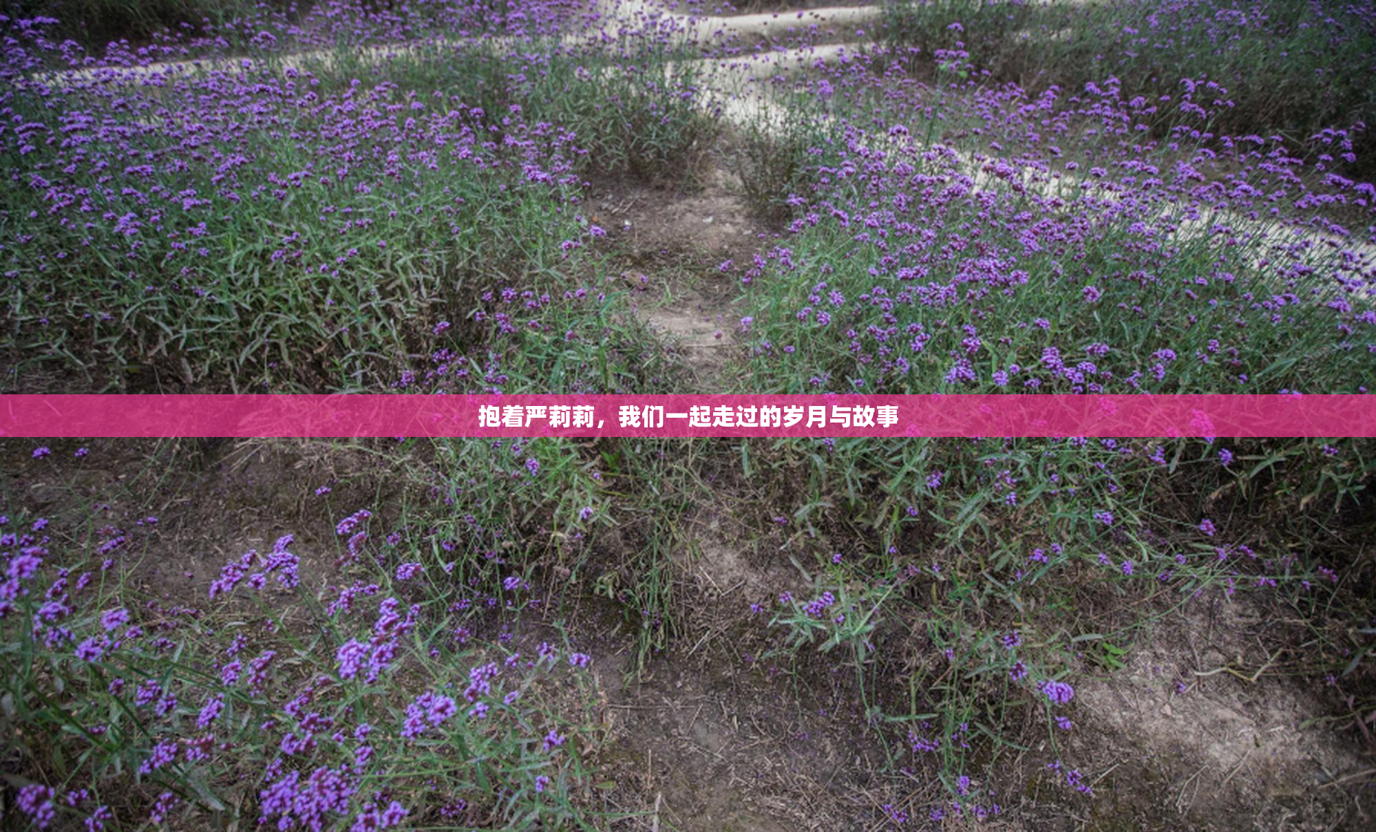 抱着严莉莉，我们一起走过的岁月与故事