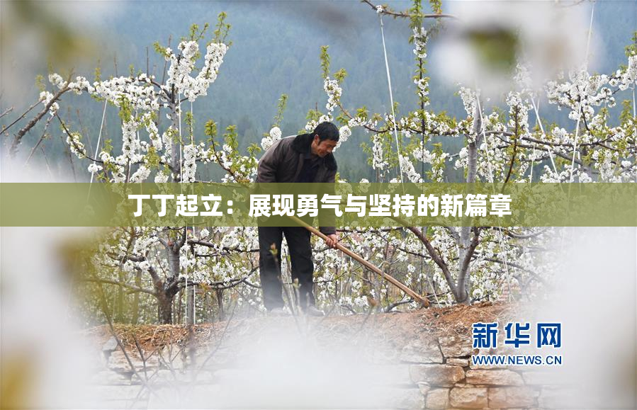 丁丁起立：展现勇气与坚持的新篇章