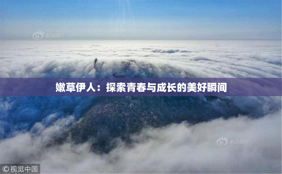 嫩草伊人：探索青春与成长的美好瞬间