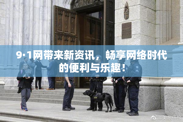 9·1网带来新资讯，畅享网络时代的便利与乐趣！