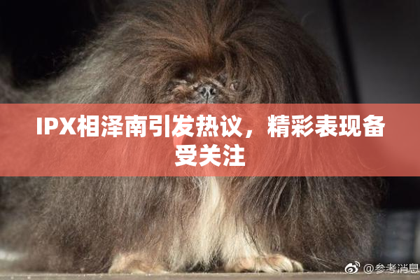 IPX相泽南引发热议，精彩表现备受关注