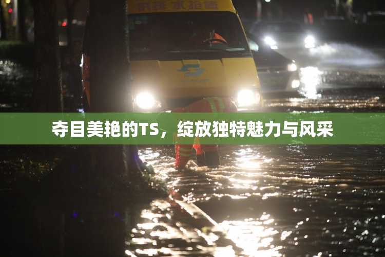 夺目美艳的TS，绽放独特魅力与风采