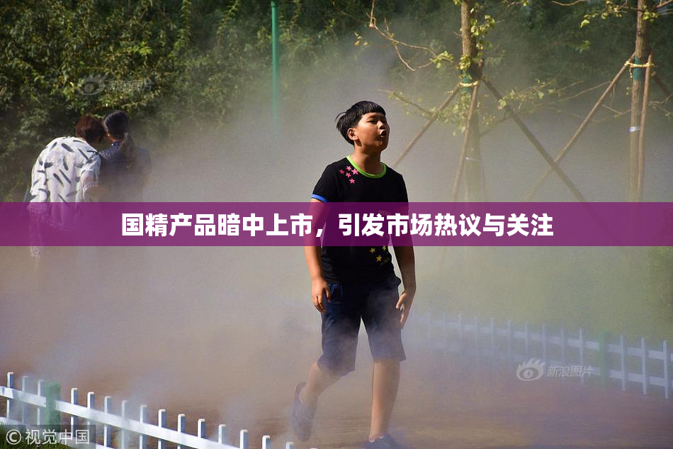 国精产品暗中上市，引发市场热议与关注