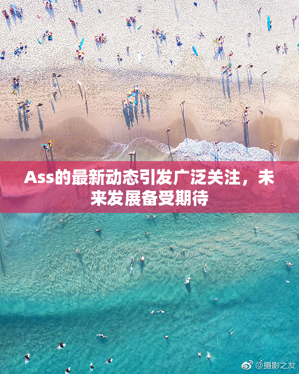 Ass的最新动态引发广泛关注，未来发展备受期待