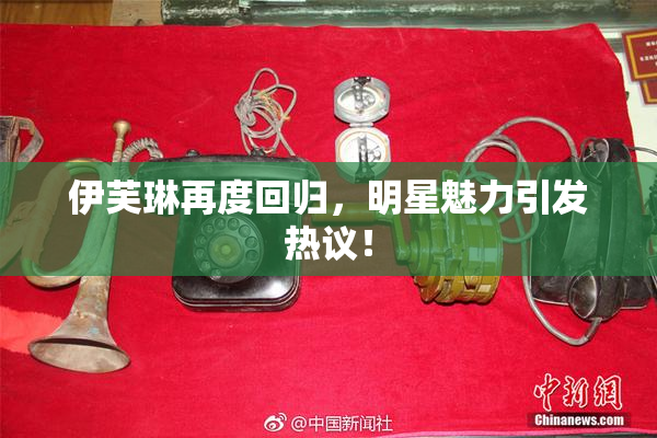 伊芙琳再度回归，明星魅力引发热议！