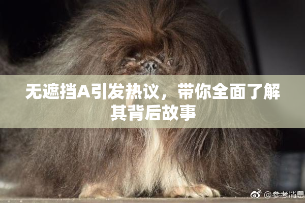 无遮挡A引发热议，带你全面了解其背后故事