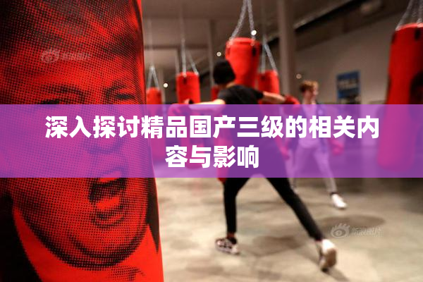 深入探讨精品国产三级的相关内容与影响