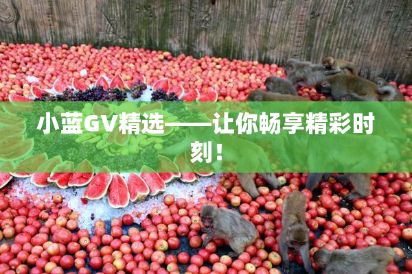 小蓝GV精选——让你畅享精彩时刻！