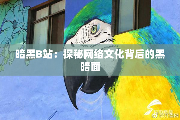 暗黑B站：探秘网络文化背后的黑暗面