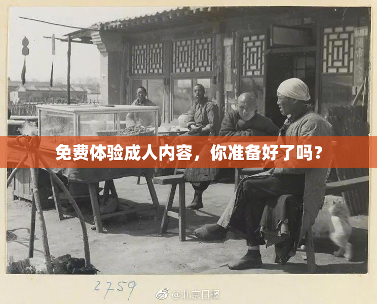 免费体验成人内容，你准备好了吗？