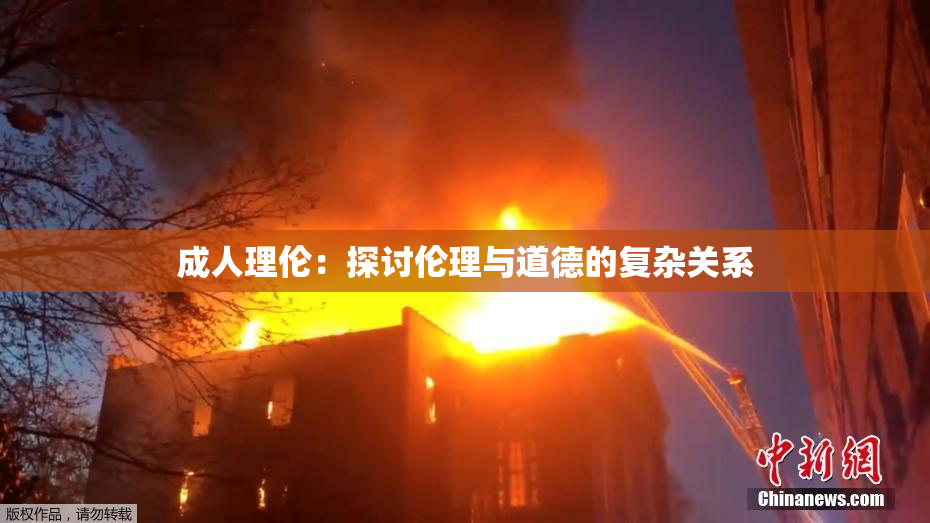 成人理伦：探讨伦理与道德的复杂关系