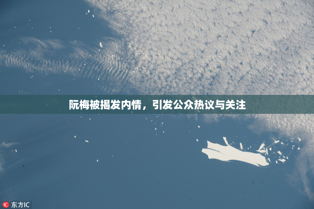阮梅被揭发内情，引发公众热议与关注