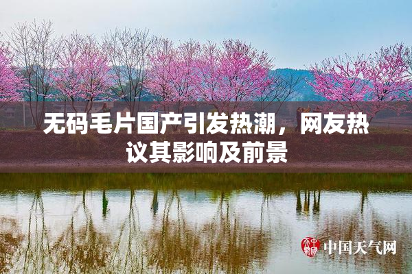 无码毛片国产引发热潮，网友热议其影响及前景