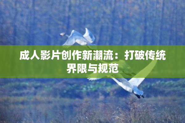 成人影片创作新潮流：打破传统界限与规范