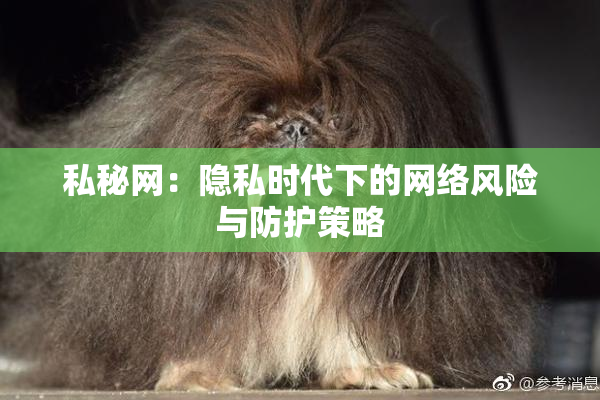 私秘网：隐私时代下的网络风险与防护策略