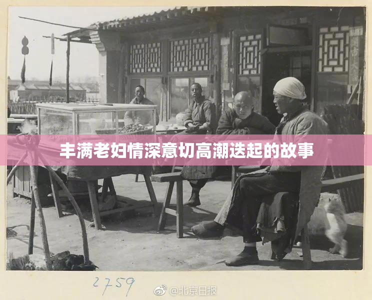 丰满老妇情深意切高潮迭起的故事