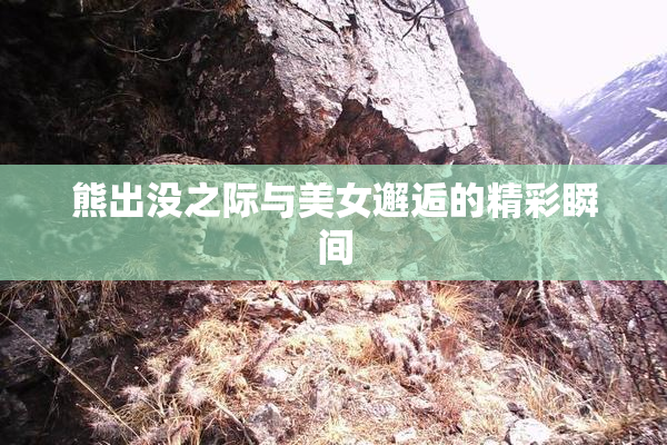 熊出没之际与美女邂逅的精彩瞬间