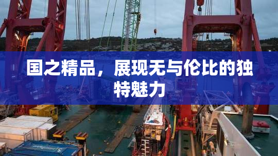 国之精品，展现无与伦比的独特魅力