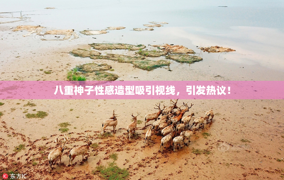 八重神子性感造型吸引视线，引发热议！