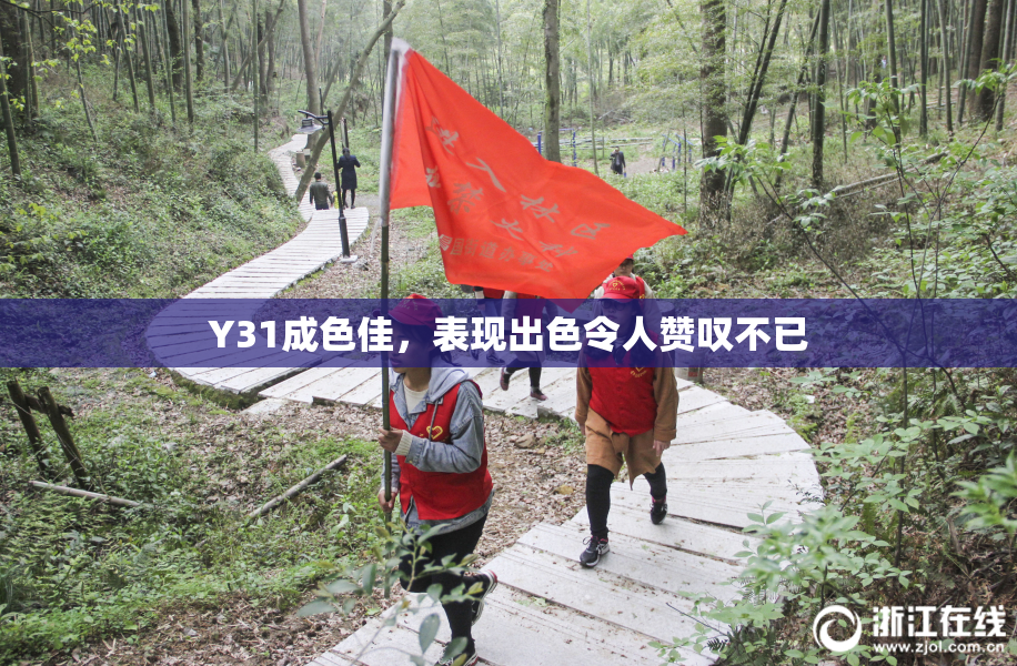 Y31成色佳，表现出色令人赞叹不已