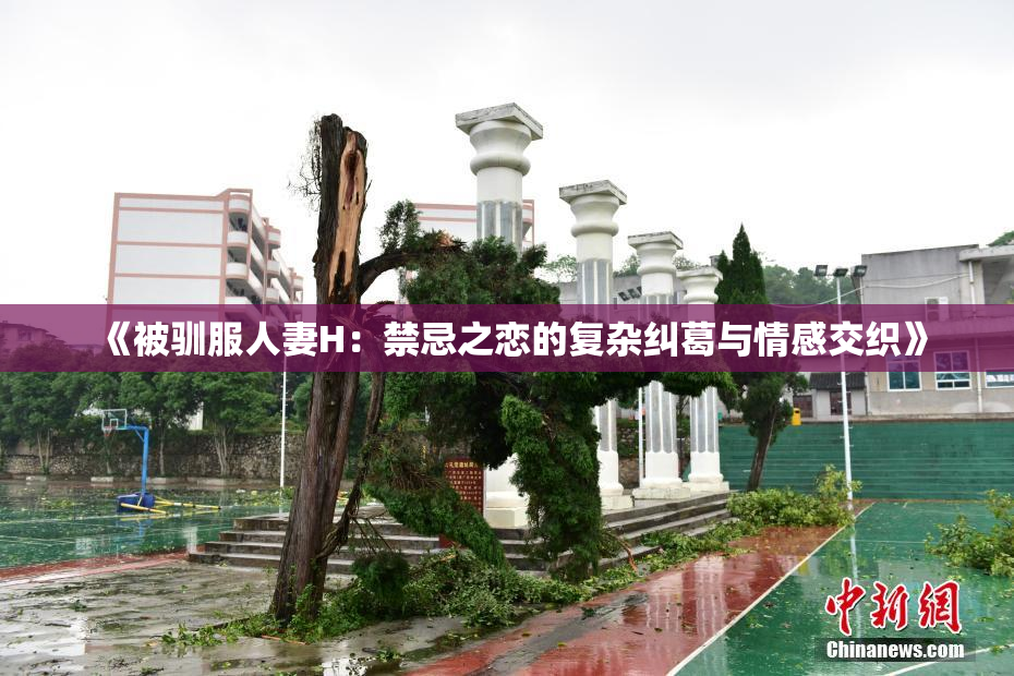 《被驯服人妻H：禁忌之恋的复杂纠葛与情感交织》