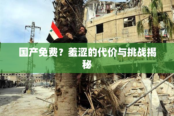 国产免费？羞涩的代价与挑战揭秘