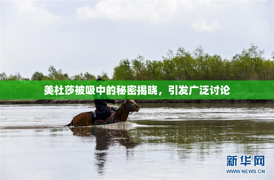 美杜莎被吸中的秘密揭晓，引发广泛讨论